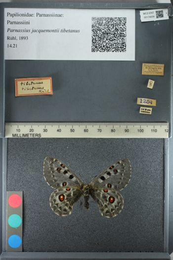 Media type: image;   Entomology 174839